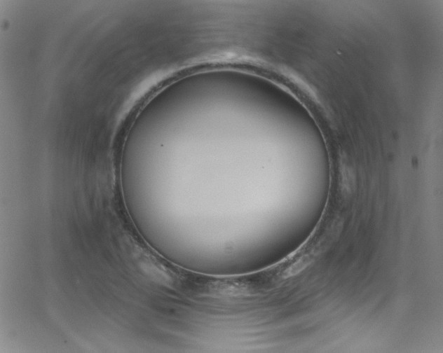 X0000068771270200604281229