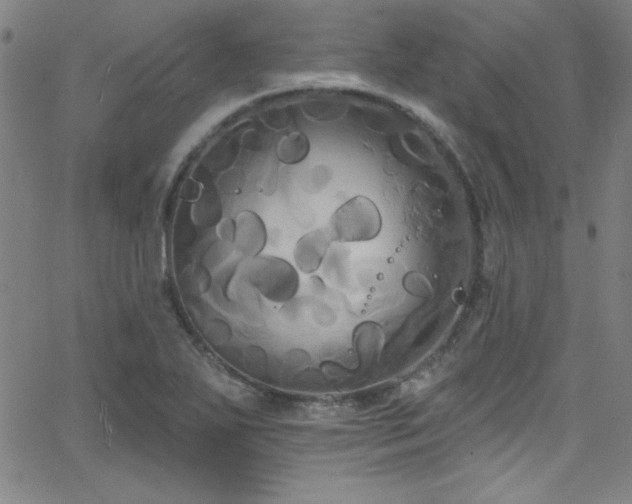 X0000068771271200604281229