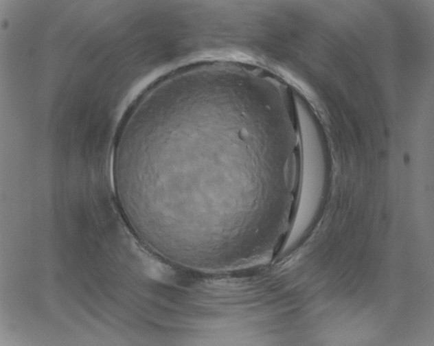 X0000068771272200604281229