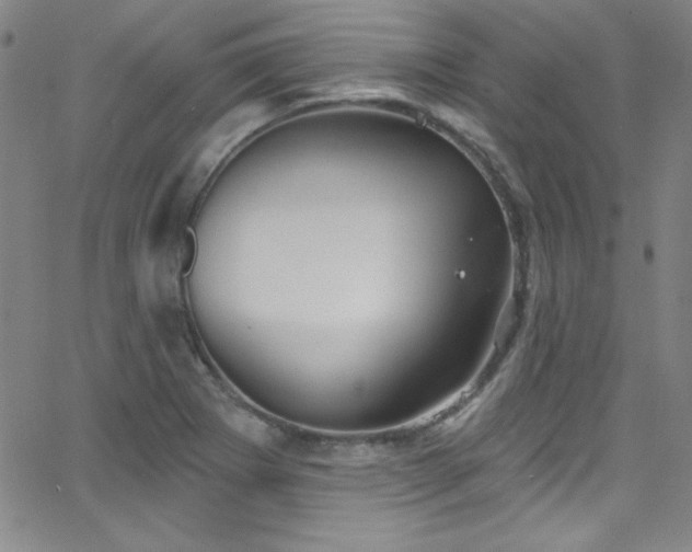 X0000068771273200604281229