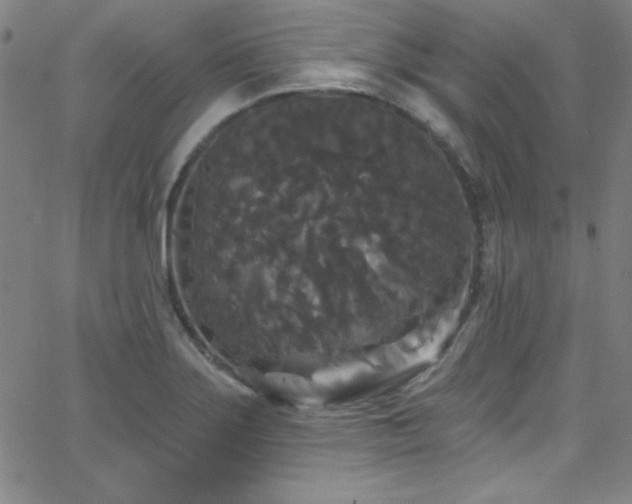 X0000068771275200604281229