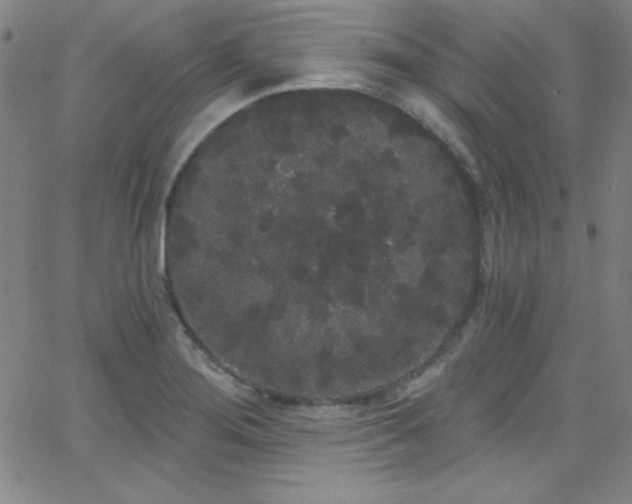 X0000068771276200604281229