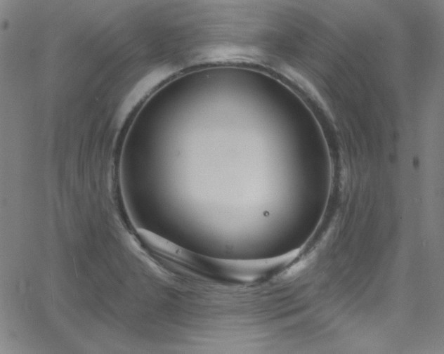 X0000068771277200604281229