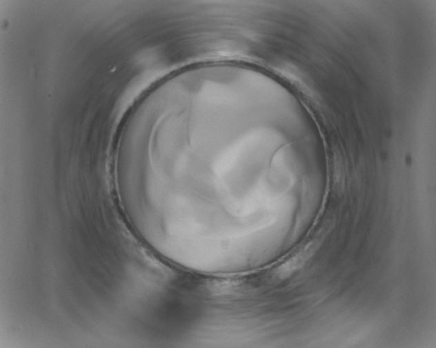 X0000068771278200604281229