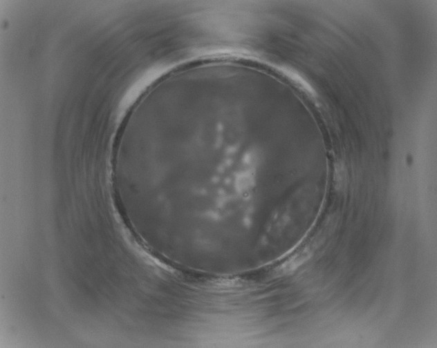 X0000068771279200604281229