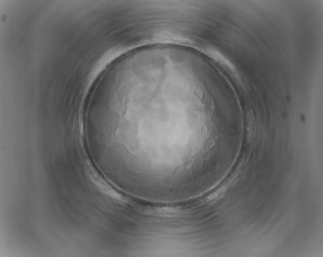 X0000068771280200604281229