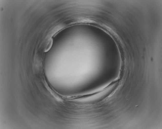 X0000068771281200604281229