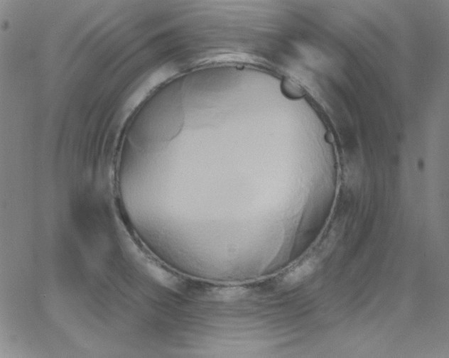 X0000068771282200604281229