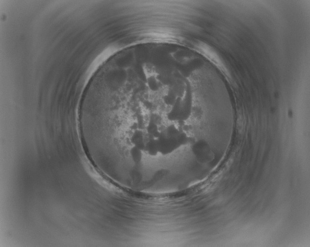 X0000068771283200604281229