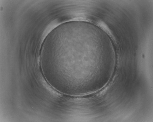 X0000068771284200604281229