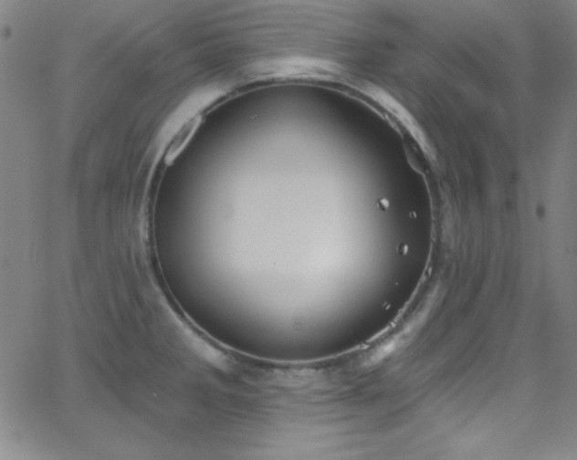 X0000068771285200604281229