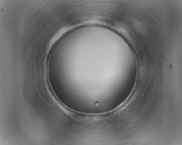 X0000068771286200604281229