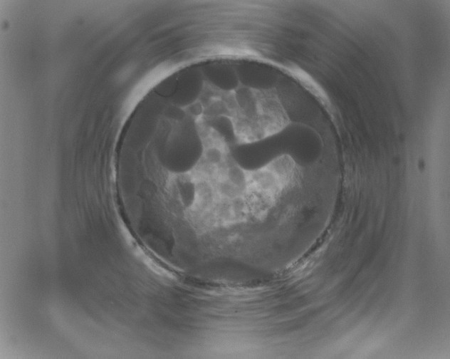 X0000068771287200604281229