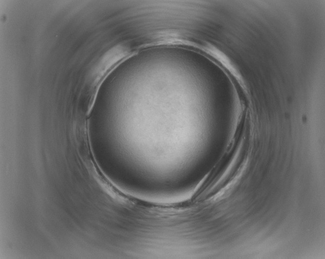 X0000068771289200604281229