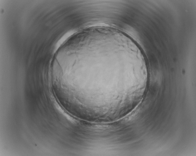 X0000068771290200604281229