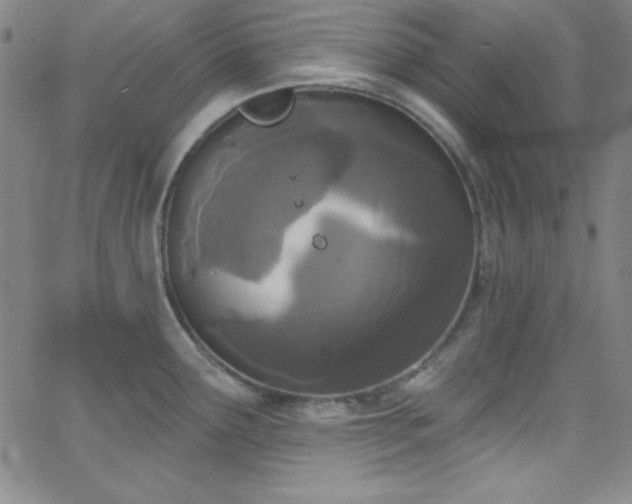 X0000068771291200604281229