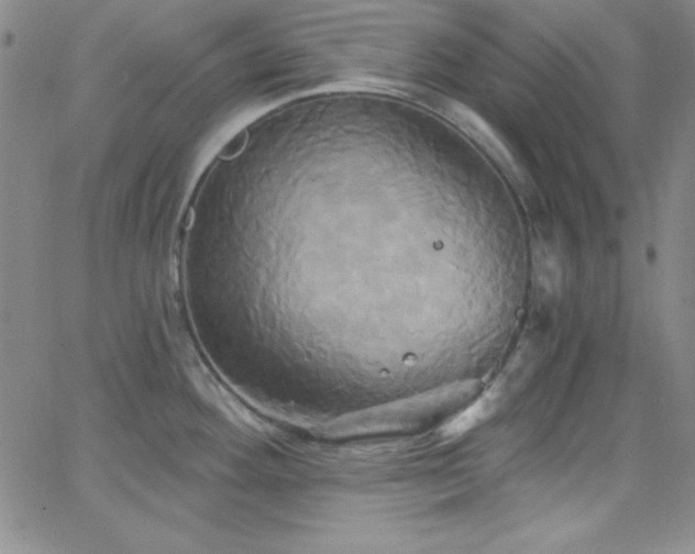 X0000068771292200604281229