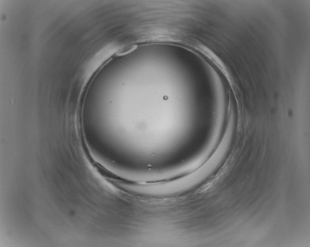 X0000068771293200604281229