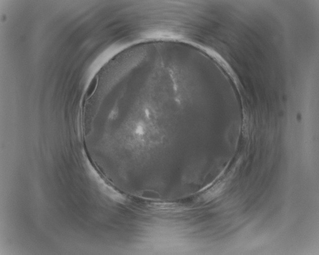 X0000068771295200604281229