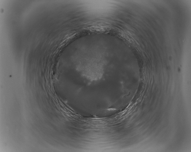 X0000068771297200604281228