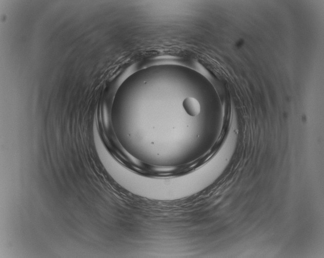 X0000068771298200604281228