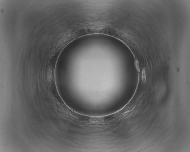 X0000068771299200604281228