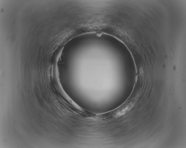 X0000068771300200604281228