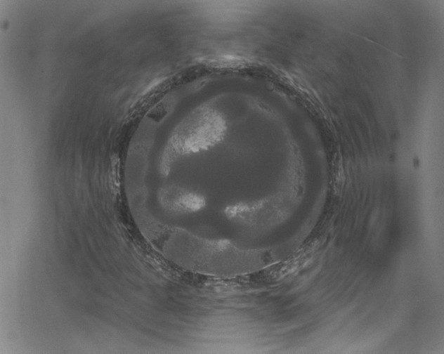 X0000068771301200604281228