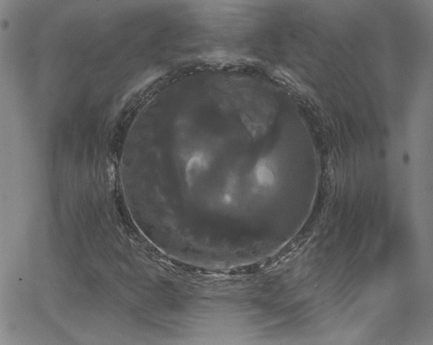 X0000068771302200604281228