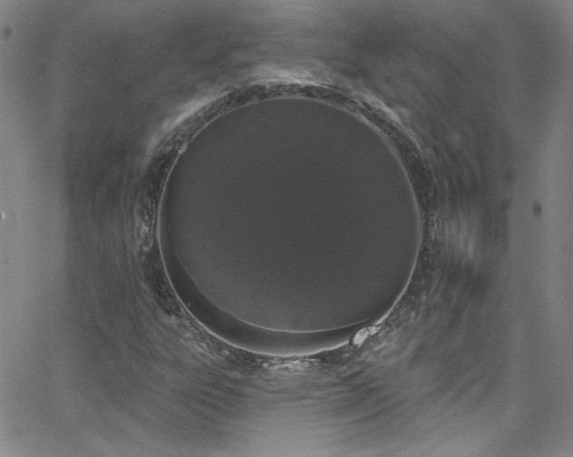 X0000068771303200604281228