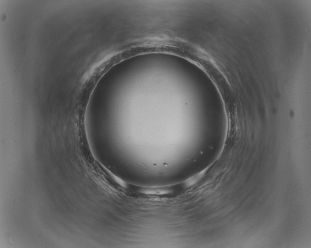 X0000068771304200604281228