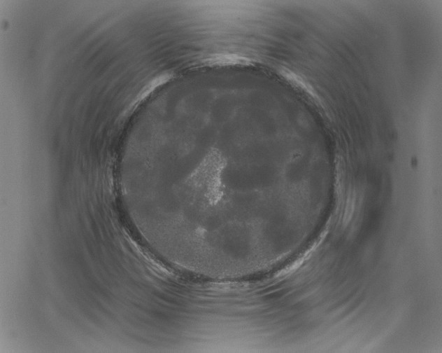 X0000068771305200604281228