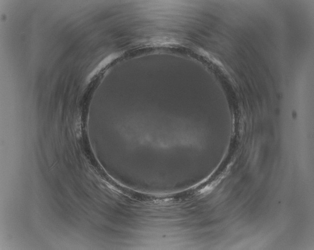 X0000068771306200604281228