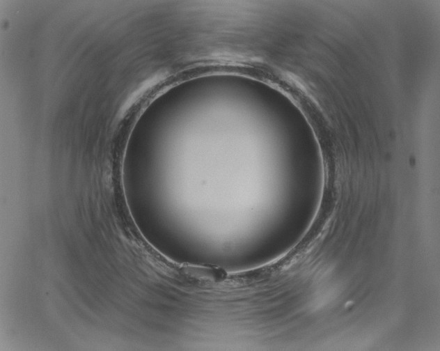 X0000068771307200604281228