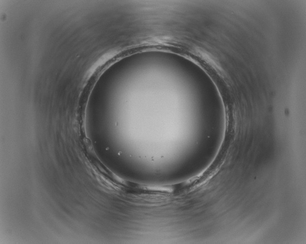 X0000068771308200604281228