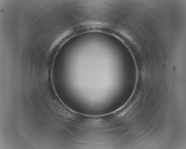 X0000068771309200604281228