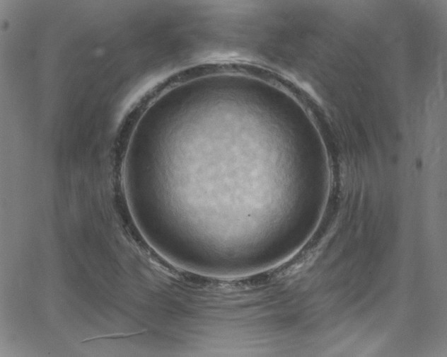 X0000068771311200604281228