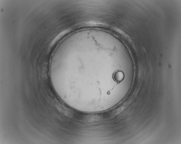 X0000068771314200604281228