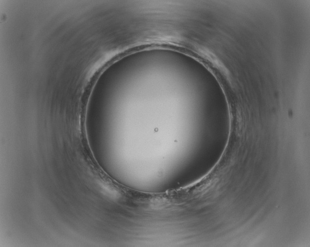 X0000068771316200604281228