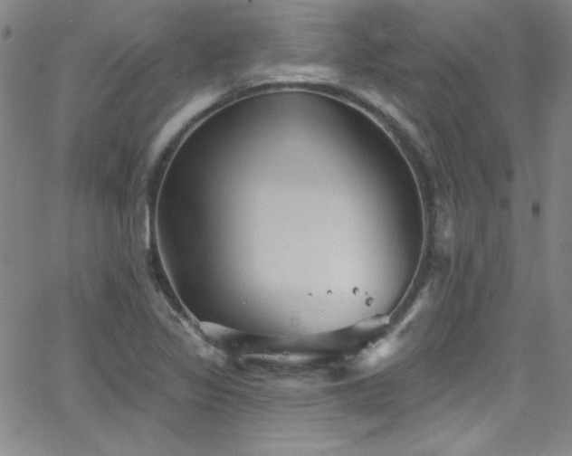 X0000068771317200604281228