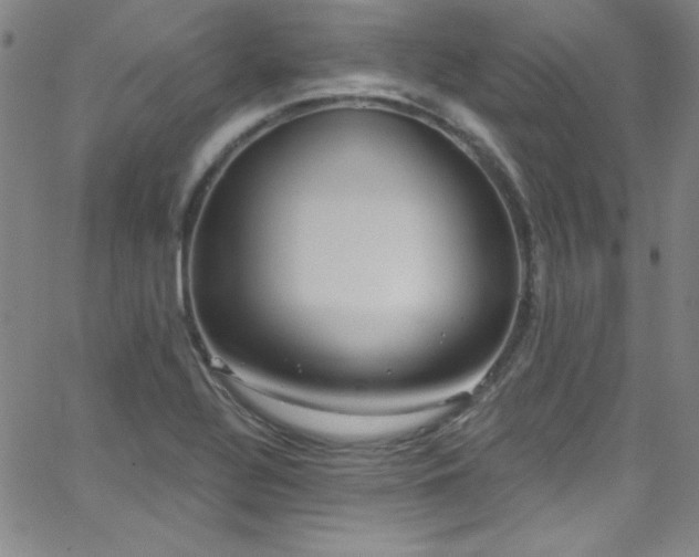 X0000068771320200604281228