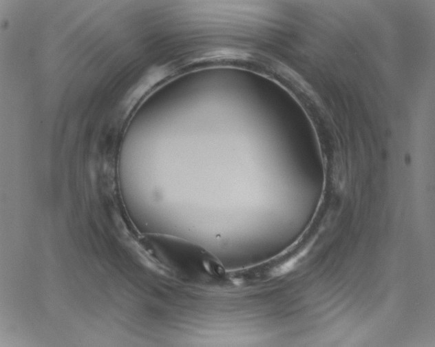 X0000068771321200604281228