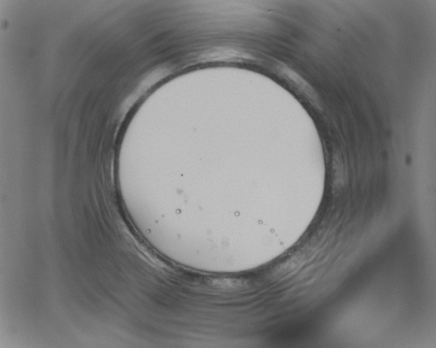 X0000068771322200604281228