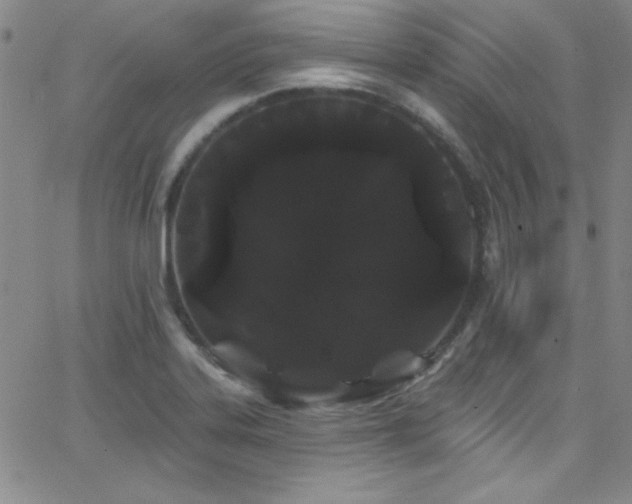 X0000068771323200604281228