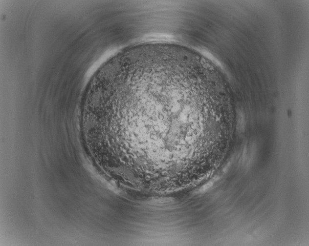 X0000068771325200604281228