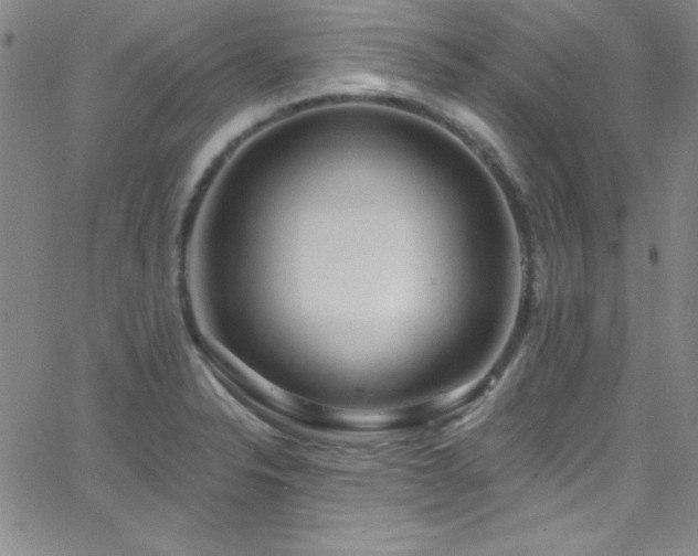 X0000068771326200604281228