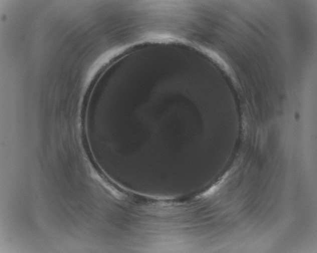 X0000068771327200604281228