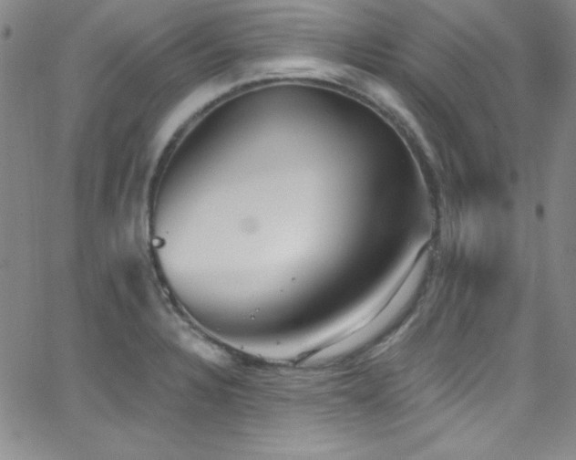 X0000068771328200604281228