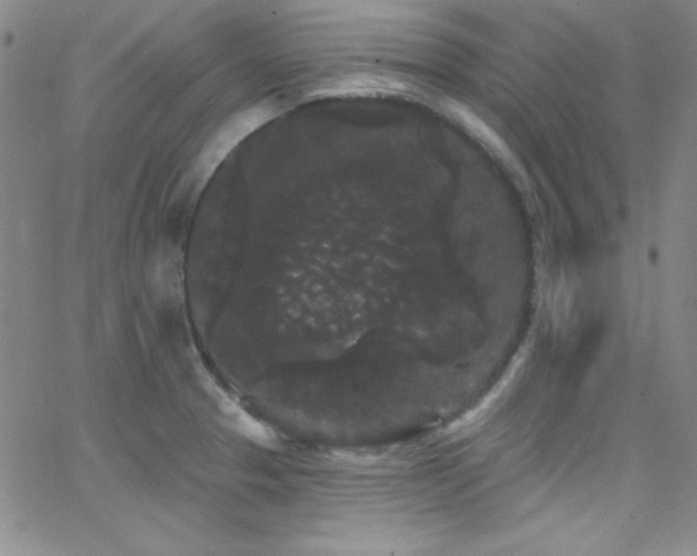 X0000068771329200604281228