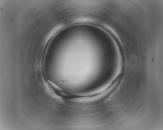 X0000068771330200604281228